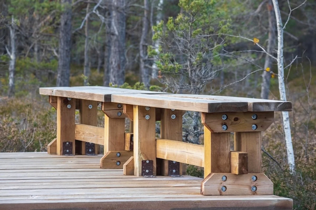 Drewniana ławka na drewnianym chodniku w lesie