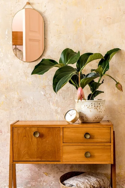 Wnętrze salonu z drewnianą komodą vintage, lustrem, rośliną i rattanowym koszem