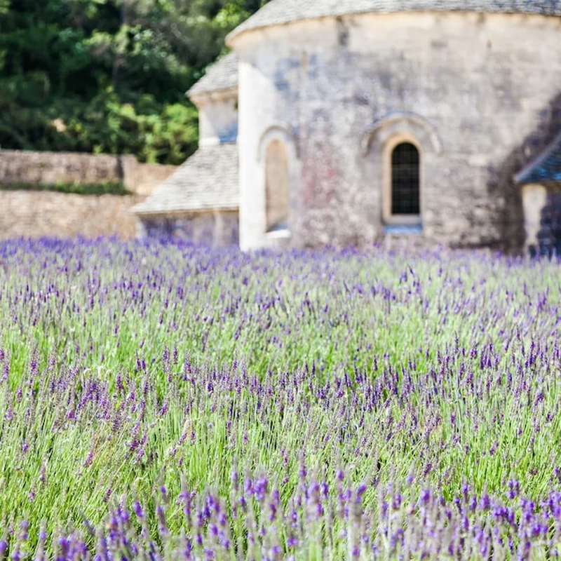 Jak urządzić dom w stylu prowansalskim? Nasze inspiracje i dekoracje