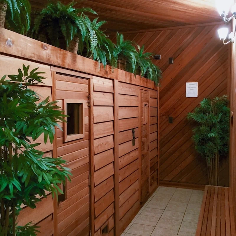 Drewniana szafa z rośliną w doniczce