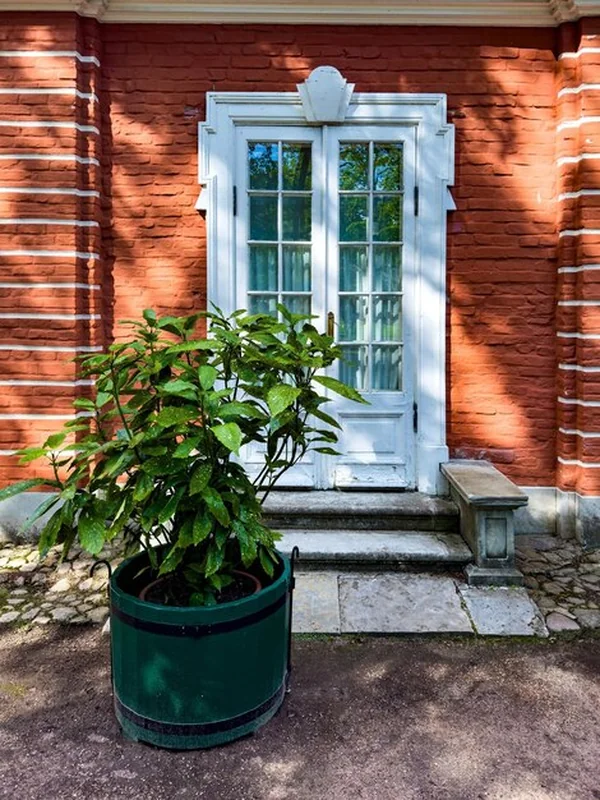Stary dom z cegłą, białe kroki do drzwi i zielona roślina w garnku