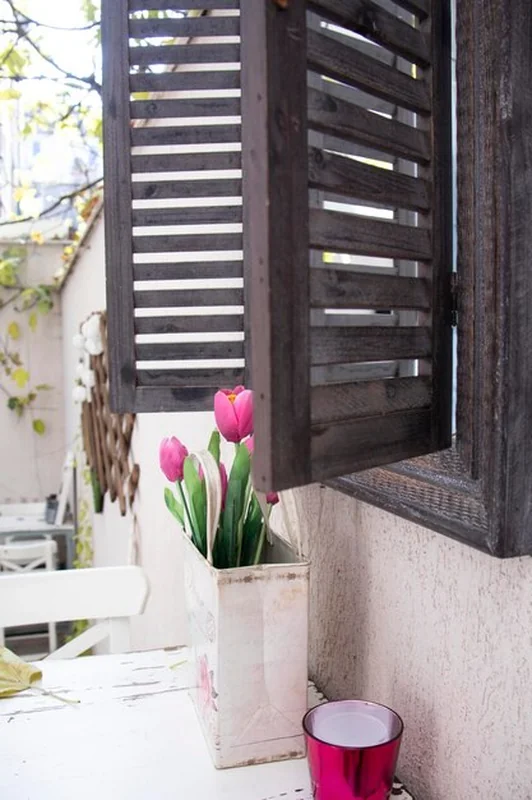 Rośliny w doniczkach na parapecie okna