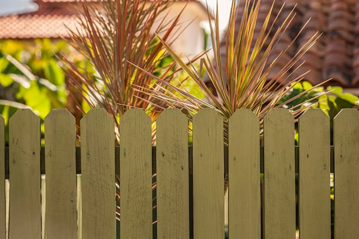Drewniany płot w tropikalnym ogrodzie