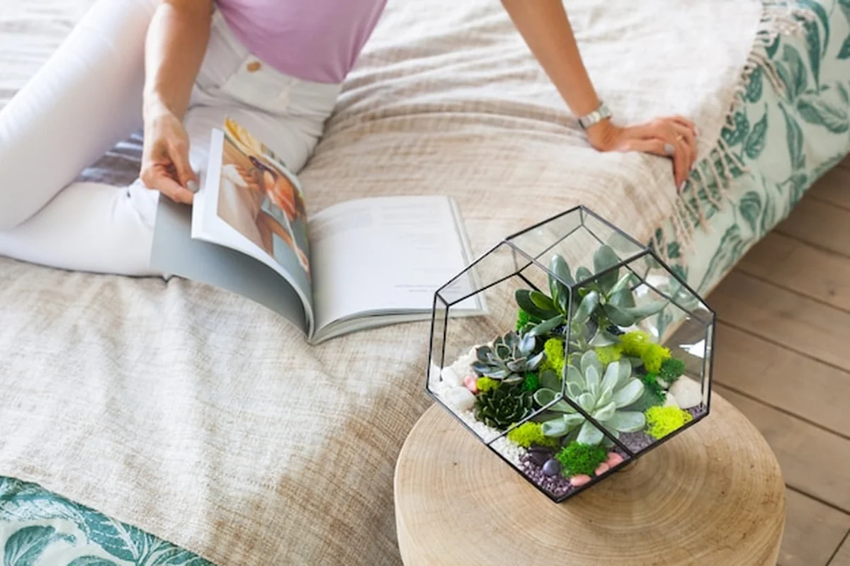 Florarium z sukulentami, kamieniem, piaskiem i szkłem, element wnętrza