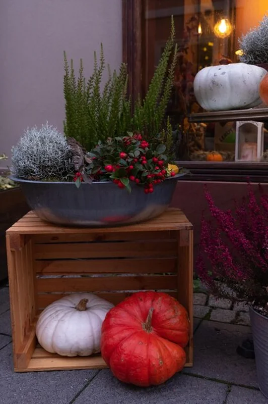 Jesienna prezentacja wejścia ozdobiona kwiatami i dynią